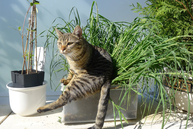 Mika geht es sichtlich wohl