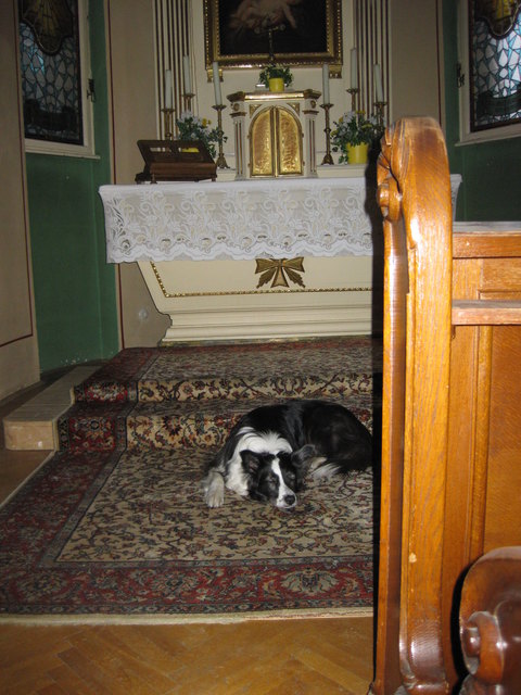 Hier ist es kühl sicher und rühig............schnarrrrrrrrrrrrrrrch