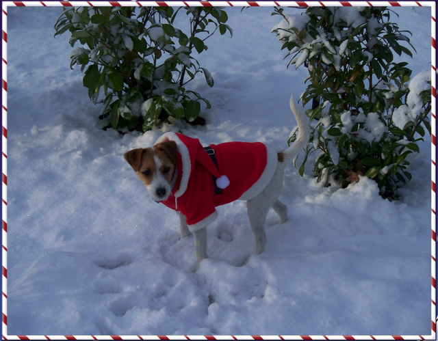 N bin ich nicht süß damit???