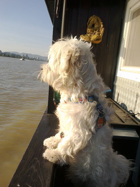 unser kleiner kapitän