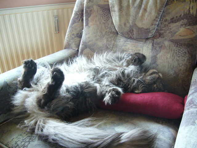 War das wieder ein anstrengender Tag