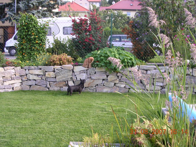 Gandalf und Sarah lieben sich sehr