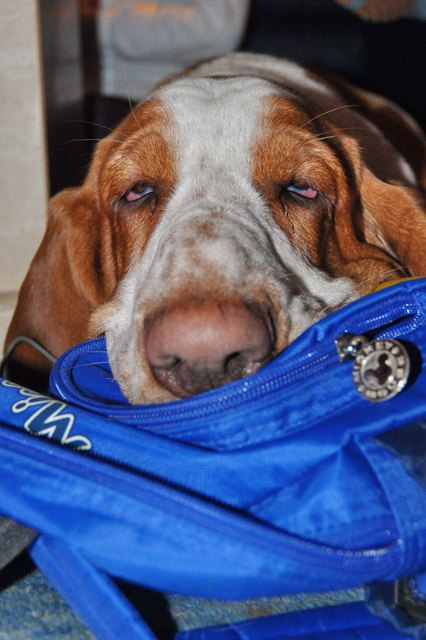 ...einfach nur schlafen...