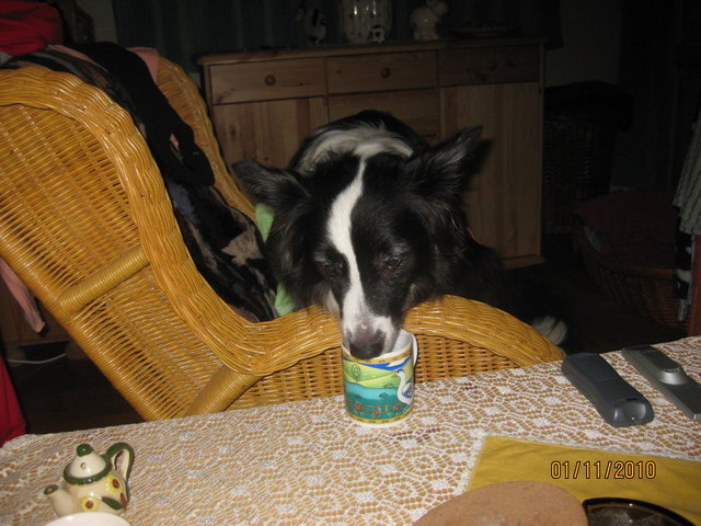 Man solll so sagt man am Abend keinen Kaffee drinken Egal ich kann mir die Tür ja selbst aufmachen zum KLO