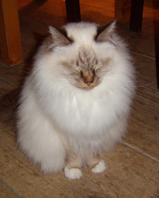 .... ich bin gar nicht da :-)