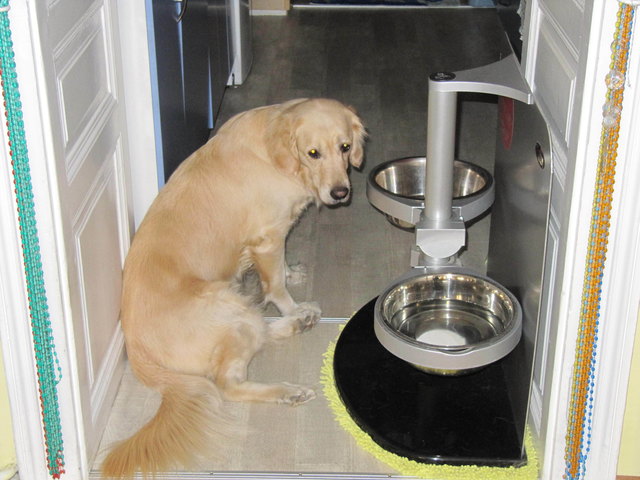 Ich hab Hunger wählt für mich Emily