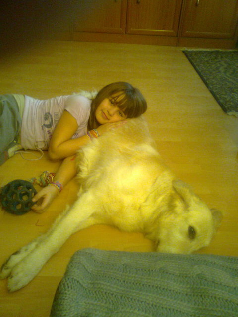 Auf Ovettes Popo liegt man gut.