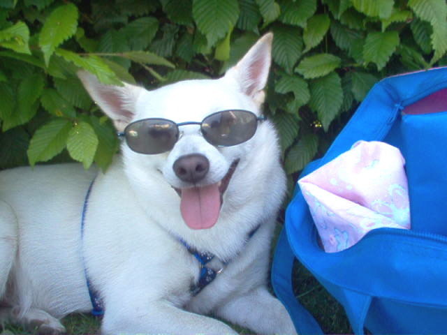 in the summertime when the weather is high ....