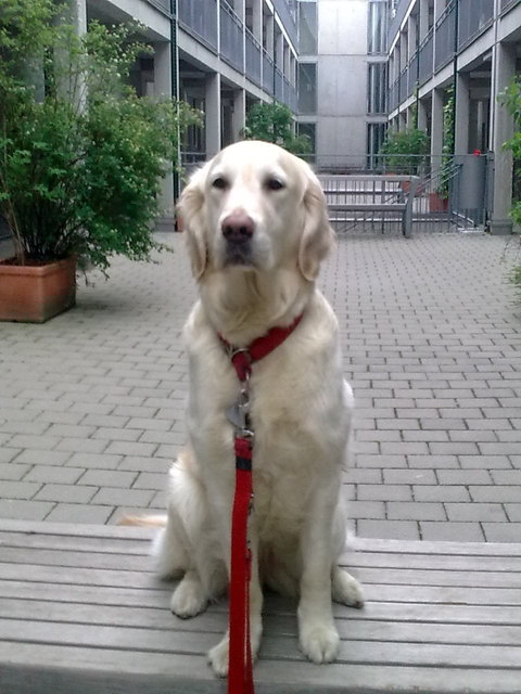 Bitte holt mich ab, ich habe HUNGER!!!!!!!