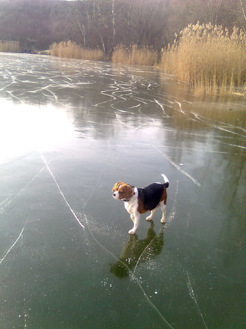 unsere eisprinzessin