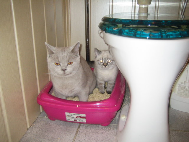 Liebe kennt keine Grenzen