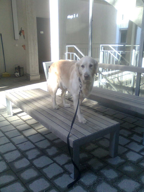 Ich schaue mir die Welt von oben an.