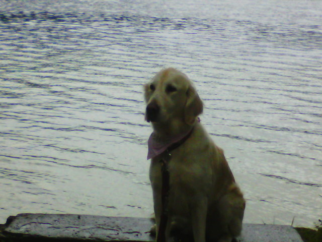 Frauchen lässt mich noch immer nicht baden gehen.