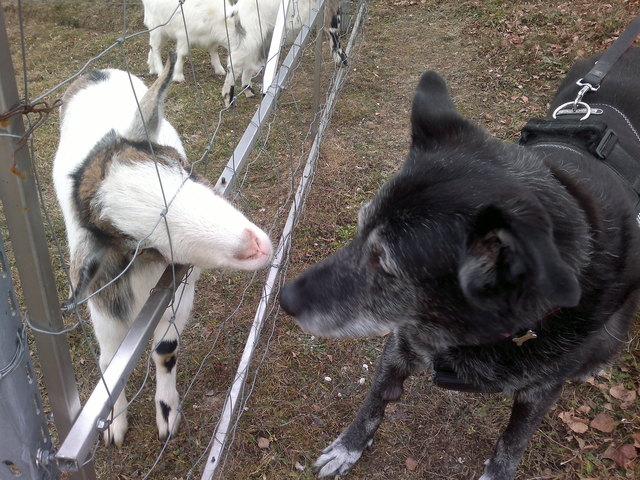 Mein bester  Freund und Ich