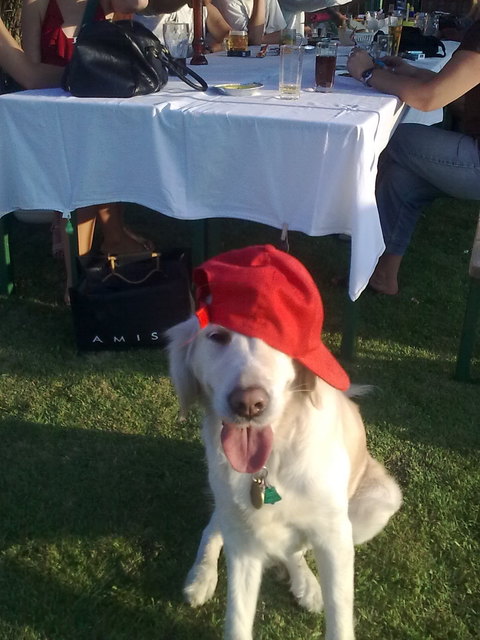 Wuff, ist mir heiss nach dem wilden "RAP"