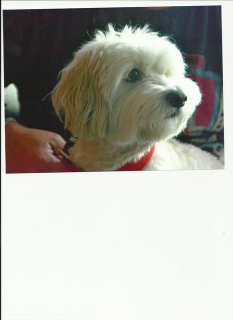 Fini aus Fünfhaus ist ne süsse Maus !