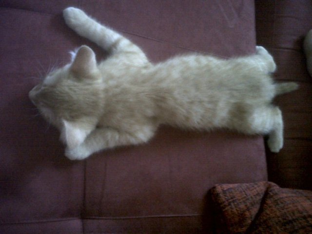 Mein Prinz beim Schlafen