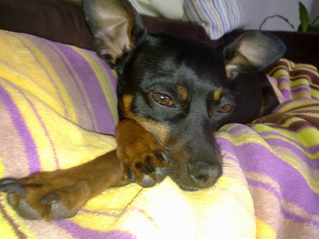 Paula unsere Prinzessin