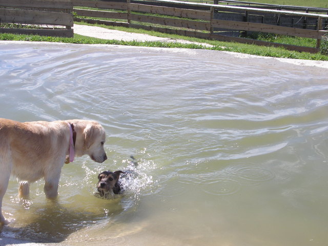 Ich tut nichts, komm spiel mit mir!!!!!