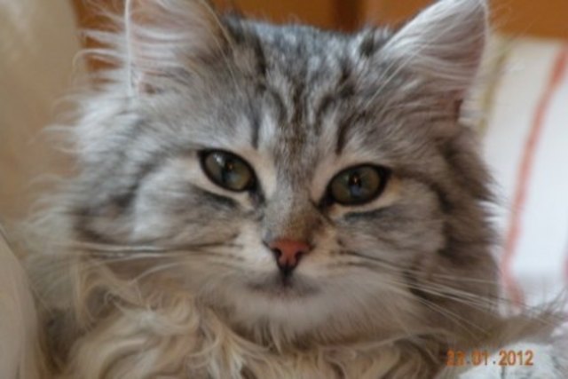 Seit 2 Wochen unser Schatz, Ellie