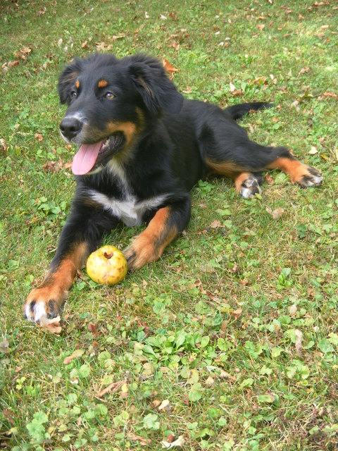 bin mit jedem Spielzeug zufrieden ... :)