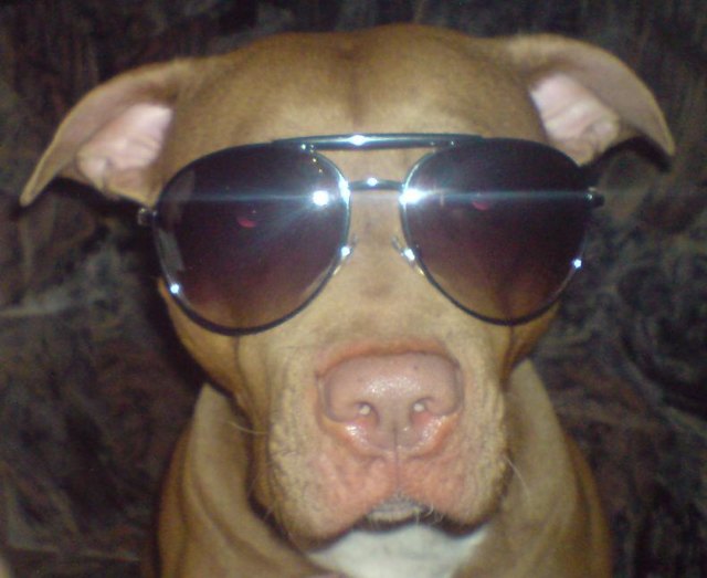 !!! Donna Superstar !!!