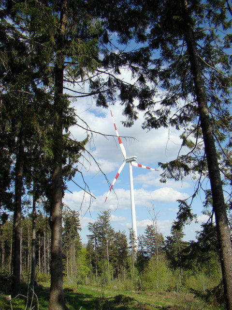 Der Kobernaußerwald eignet sich laut „Arbeitsgruppe Windenergie“ für den Bau von Windkraftanlagen. | Foto: Energiewerkstatt Munderfing