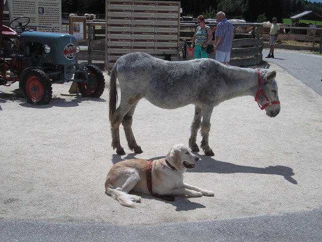 Dieses Foto, sowie alle anderen Fotos von Ovette sind nicht gegestellt, sondern rein durch  Zufall.