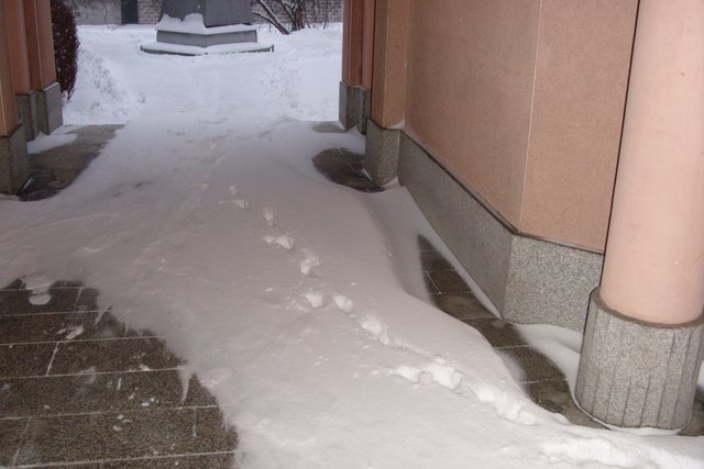 Der Zugang zur Stiege 20 wurde durch die Hausbetreuung nicht geräumt