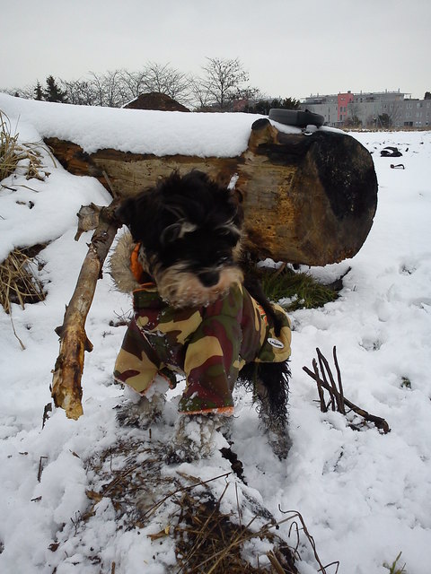 Ich liebe den Schnee, aber mir wird leider immer so schnell kalt