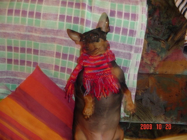 Mein nahme ist Sheela bin eine Tussi mit einen Ohrring