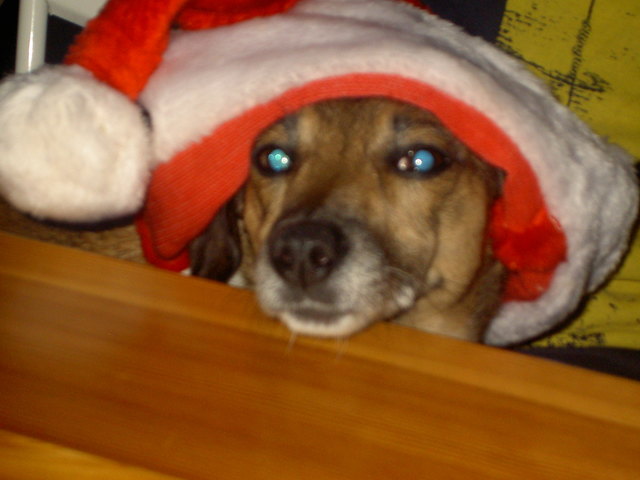 Weihnachten ist zwar schon vorbei, aber die Weihnachts-Jeanny gibts noch immer