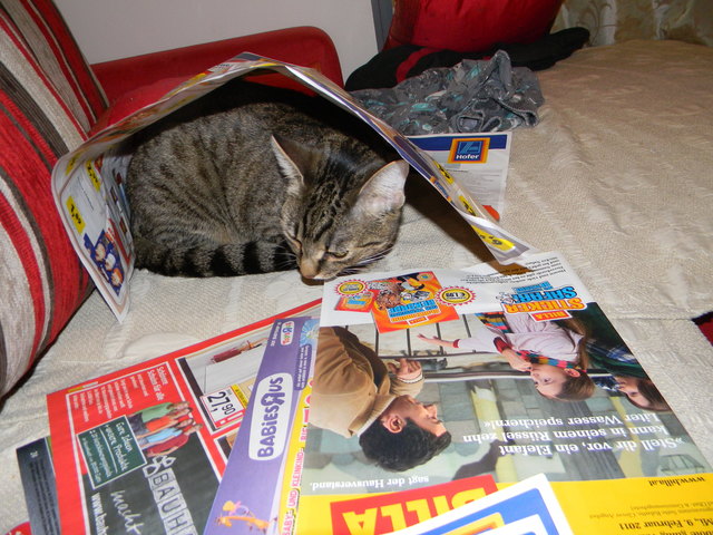 Was gibt es neue?KIra