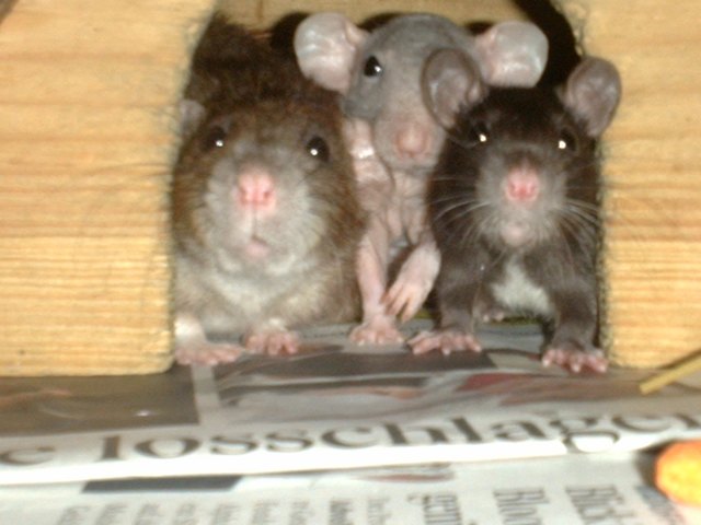 kein platz für euch