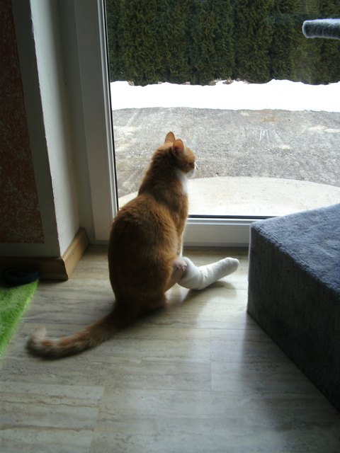 Schön wäre es draußen