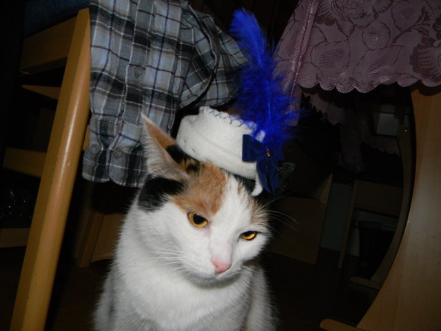 ich liebe hüte,Missy