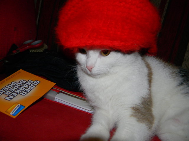 Missy auf dem Laufsteg