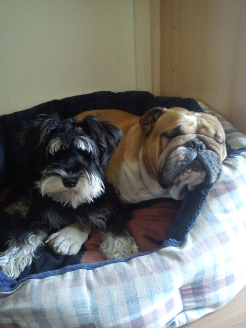 Bei meinem starken Freund lässt sich´s gut Kuscheln