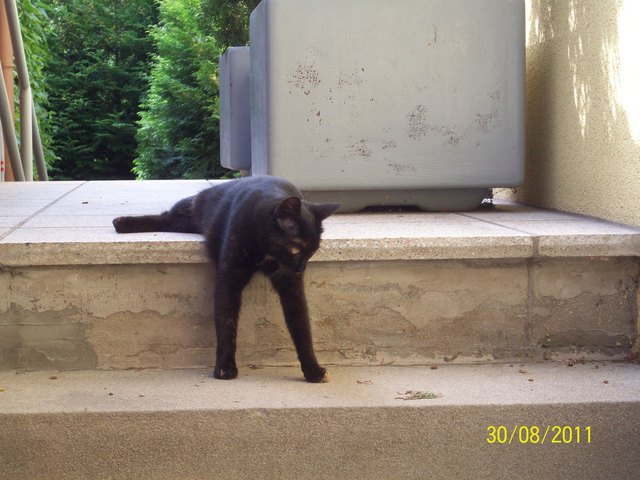 MURLI'S täglicher Frühsport