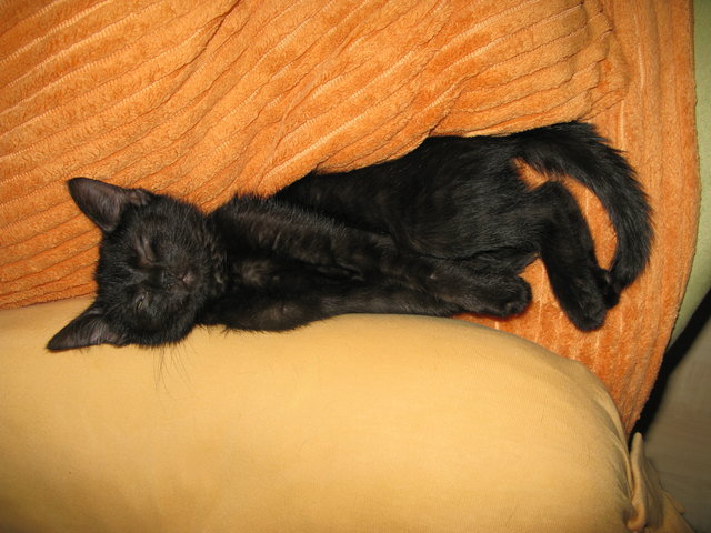 jetzt mal ruhig den ich muß schlafen !!!!!