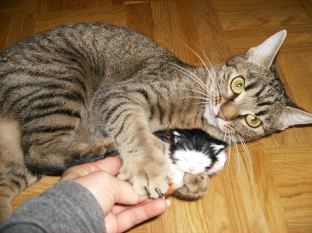 das ist mein baby sagt kira