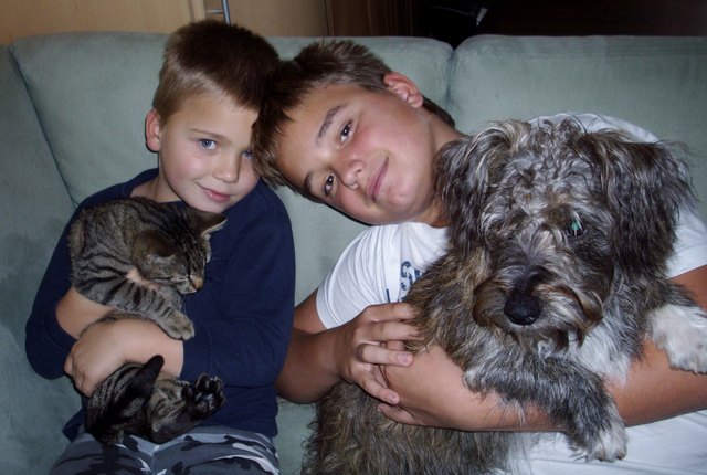 meine neffen mit ihren lieblingen