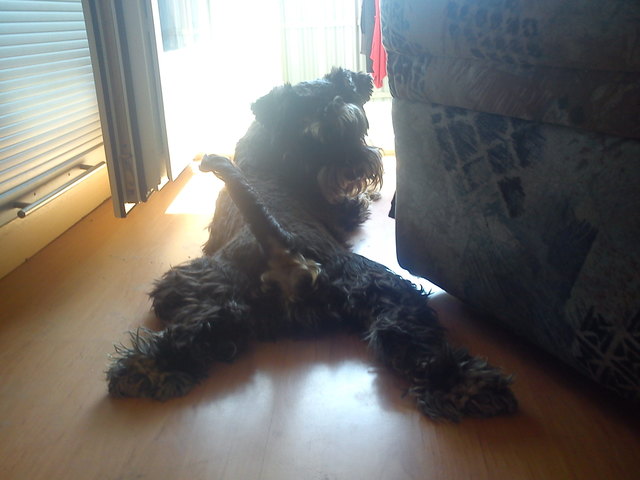 Chilln ist doch so entspannend =)