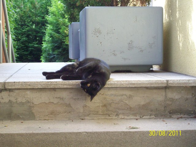 MURLI'S Entspannungsübungen