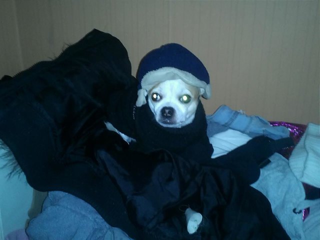 Bereit für den Winter :)