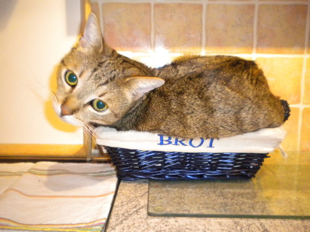 passt doch oder? *g*