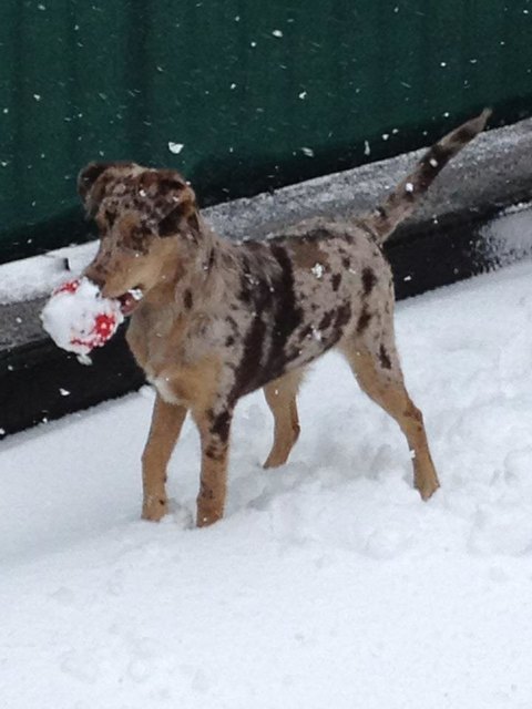 Chloé und ihr erster Schnee