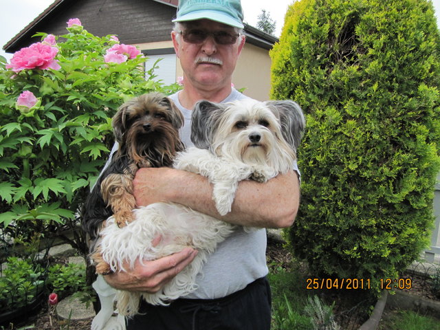 Unsere beiden Hundebuam Chester und Chipsy mit Herrl im Garten