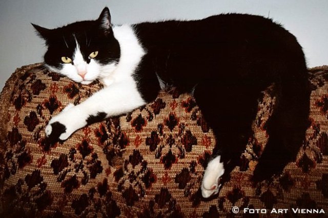 Locker abhängen, das knisternde Kaminfeuer genießen, und warten, bis es draussen wider wärmer wird...