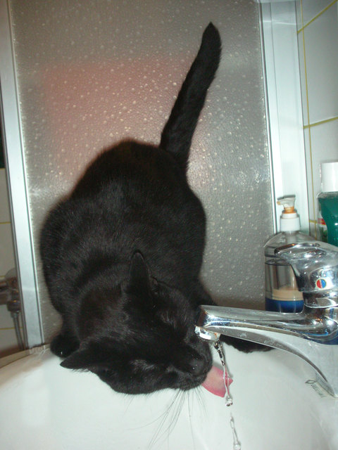 Hexy schmeckt frisches Wasser am besten!